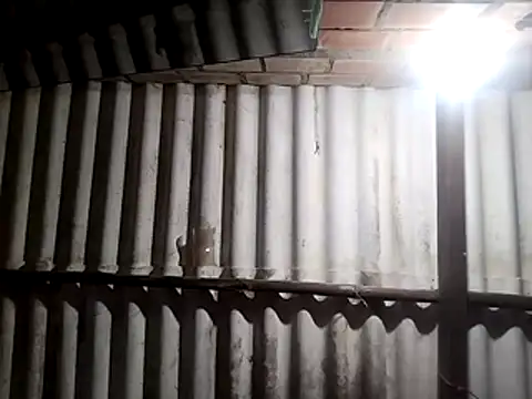 AfroditaSweetxh online show from 10, 1, 2026