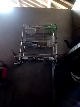 kokoto-59 online show from 28, 2, 2026