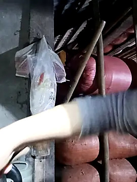 kokoto-59 online show from 11, 1, 2026