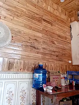 kokoto-59 online show from 19, 3, 2026