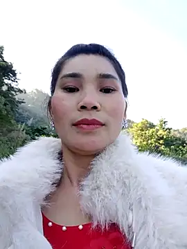 Bear bear0 online show from 29, 11, 2025