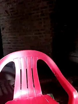 Bear bear0 online show from 3, 11, 2025