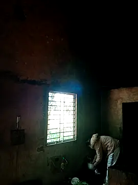 Bear bear0 online show from 26, 11, 2025