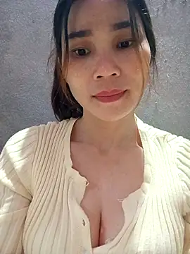 Bear bear0 online show from 23, 11, 2025