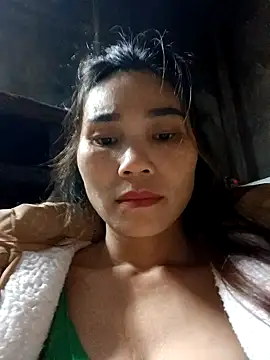 Bear bear0 online show from 25, 11, 2025