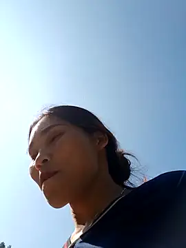 Bear bear0 online show from 13, 11, 2025