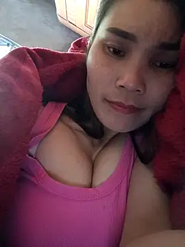 Bear bear0 online show from 28, 11, 2025