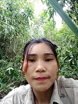 Bear bear0 online show from 3, 11, 2025