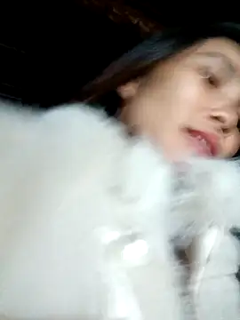 Bear bear0 online show from 26, 11, 2025