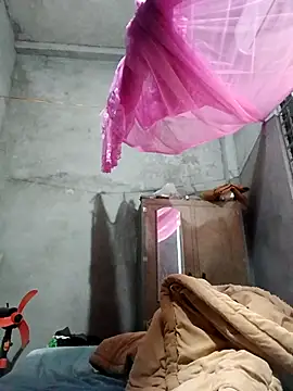 Bear bear0 online show from 22, 12, 2025