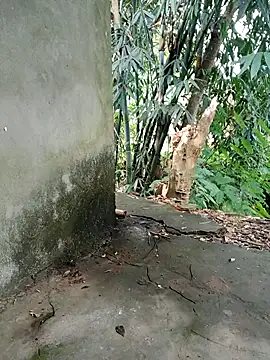 Bear bear0 online show from 8, 11, 2025