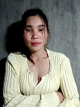 Bear bear0 online show from 23, 11, 2025