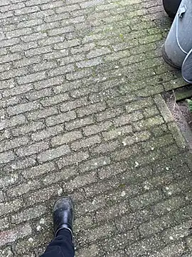 bart98geil online show from 10, 3, 2026