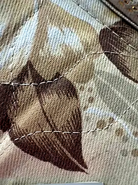 Snapshot of cheems232 chatting on 28, 11, 2025 cheems232 online show from 28, 11, 2025