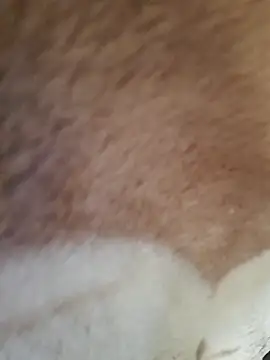 Perfect size online show from 20, 11, 2025