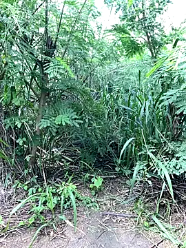 couplesexroom online show from 19, 11, 2025