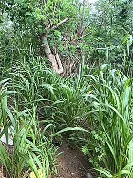 couplesexroom online show from 21, 10, 2025