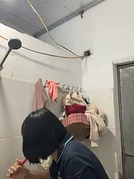 Deer nice online show from 21, 11, 2025