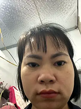 Deer nice online show from 29, 11, 2025