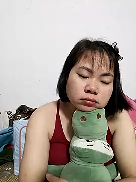 Deer nice online show from 15, 11, 2025