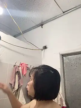 Deer nice online show from 22, 11, 2025