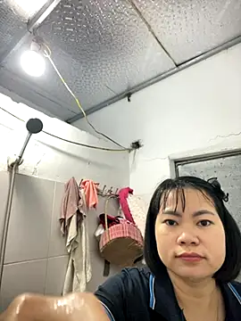 Deer nice online show from 26, 11, 2025