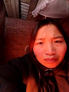 sowbibi online show from 10, 1, 2026