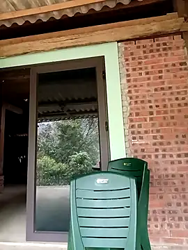 sowbibi online show from 7, 11, 2025