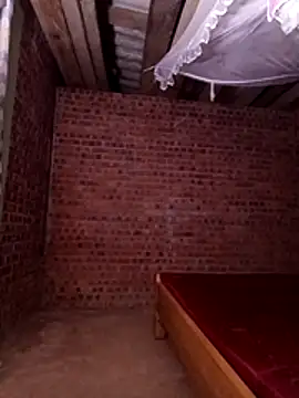 sowbibi online show from 14, 11, 2025