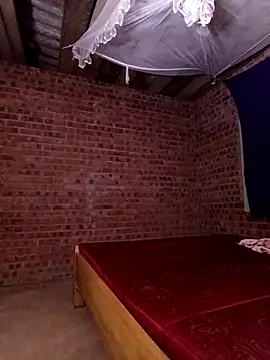 sowbibi online show from 14, 11, 2025