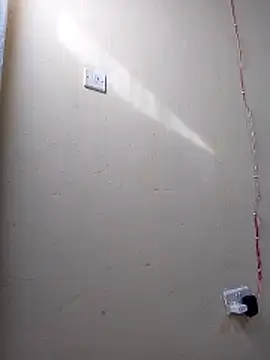cutepussy356 online show from 3, 5, 2026