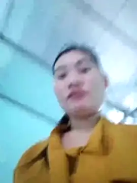  LAN  online show from 8, 11, 2025