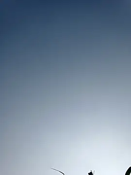 Menu x online show from 13, 1, 2026