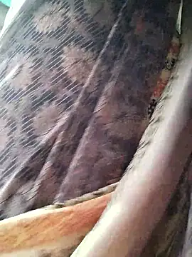 Ankitahot1993 online show from 12, 1, 2026