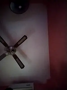 Danii2005 online show from 4, 11, 2025