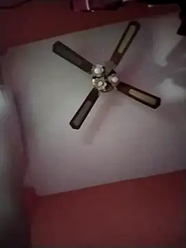 Danii2005 online show from 4, 12, 2025