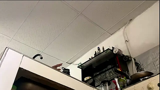 Abby Evanns1 online show from 8, 1, 2026