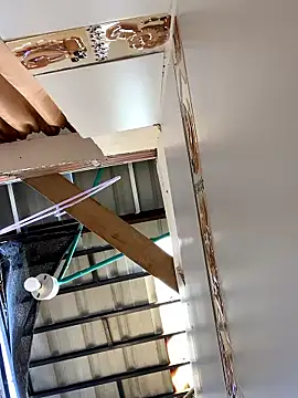 Abby Evanns1 online show from 14, 1, 2026