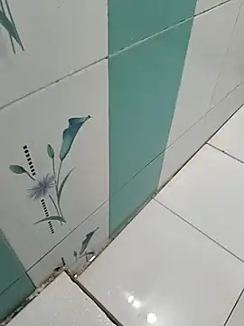 naveen 3222 online show from 29, 10, 2025