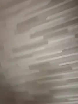 gatitalocahot online show from 7, 11, 2025