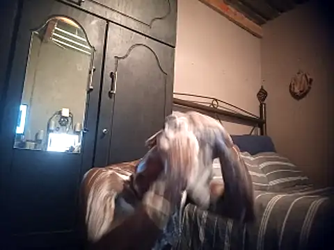 Pussylover911o online show from 23, 11, 2025