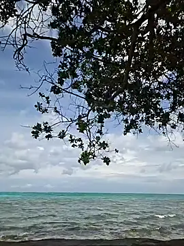 Trissa Benson online show from 31, 10, 2025