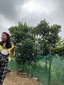 Irin jo online show from 10, 2, 2026