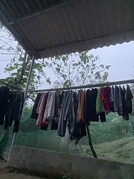 Irin jo online show from 11, 3, 2026