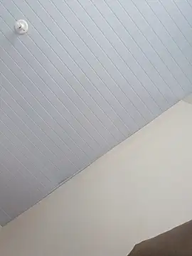 Morenodotado0 online show from 24, 2, 2026