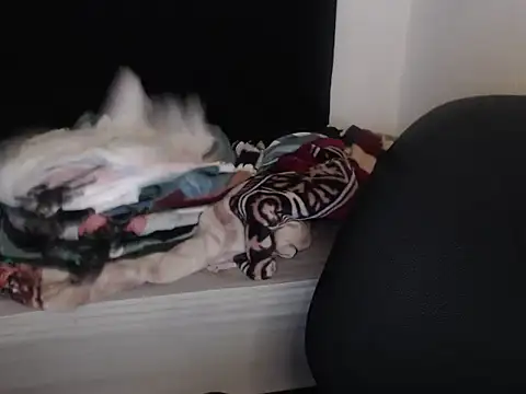 Negritatata online show from 28, 11, 2025