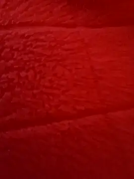 kendra666 online show from 27, 10, 2025