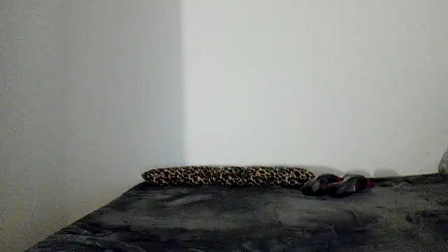 Blueskynicci online show from 13, 11, 2025