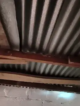 Catalina Bairon online show from 27, 11, 2025