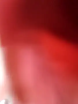 Bruninhadeusa online show from 9, 2, 2026